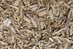 biomass boilers Dinedor Cross